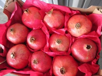 pomegranate fresh fruits - World Import Export Trade LLC - Uzbekistan