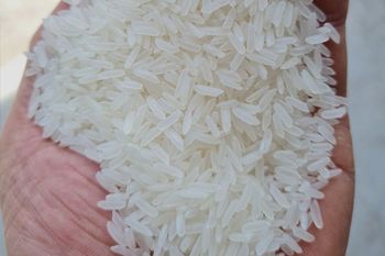 JASMINE RICE – product photo, Brown Jasmine Rice products found from trusted suppliers, wholesalers, manufacturers & exporters Listing