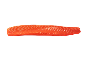 Rainbow Trout Loin - Caleta Bay Mar SpA - Chile