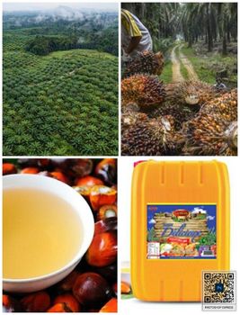 RBD Palm Olien CP8 and Cp10 Grade AA Packaging Jerrycan Place of Origin Malaysia - Gaya group  - Indonesia