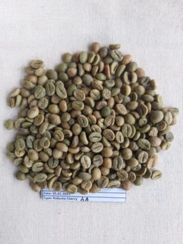 ROBUSTA CHERRY AA Scr 18 Origin India Packing 60 Kgs (net) Place of Origin INDIA Max. Moisture (%) 12.75% Packaging Details 60 KGS NET IN NEW JUTE BAG - Mysore Mercantile Co Ltd - India