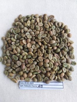 ROBUSTA CHERRY AB Origin India Product Code Scr-15 Place of Origin INDIA Max. Moisture (%) 12.75% Packaging Details 60 KGS NET IN NEW JUTE BAG - Mysore Mercantile Co Ltd - India