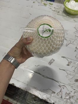 Diamond Coconut - ROBUS COMPANY LIMITED - Vietnam