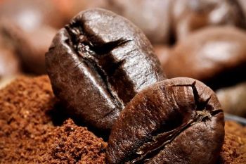 Espresso Coffee Beans (Specialty Blend) Size 8-12 mm Packaging 25kg vacuum-sealed bags Shelf Life 12 months when stored - CGE Coffee Global Export - Vietnam