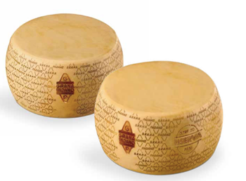 Parmesan cheese  Feature Milk Packaging 40 kg Shelf Life 24 - Food Italy Ltd  - United Kingdom