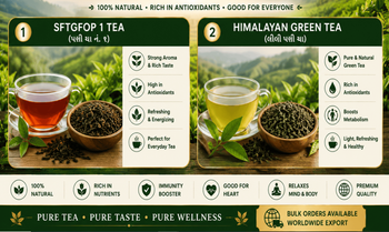 Tea - RIBADIYA ORGANIC EXIM - India
