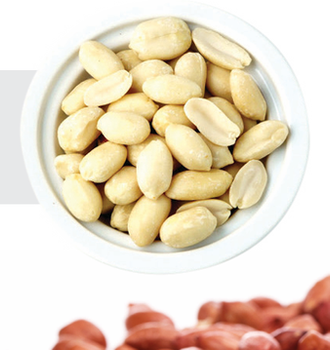 Blanched Peanuts Color White Maximum Red Skin Content Max 3% Maximum Moisture Content Max 4% Size Options 38/42, 40/50, 50/60 - GHANSHYAM TRADERS - India