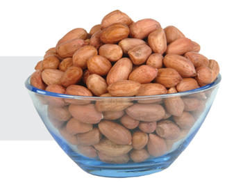 Bold Peanuts Color Red Maximum Damage Level Max 1% Maximum Moisture Content Max. 7% Size Range 38/42, 40/50, 50/60, 60/70, 70/80, 80/90 - GHANSHYAM TRADERS - India