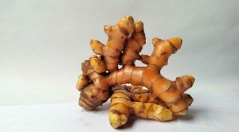 Finger Turmeric - PT Berkat Bintang Sohaga - Indonesia