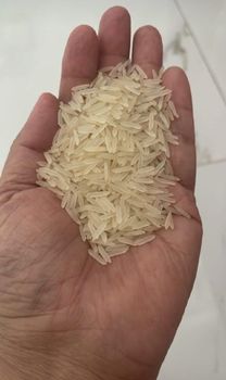 1121 basmati rice – product photo, 1121 Saila Rice products found from trusted suppliers, wholesalers, manufacturers & exporters Listing
