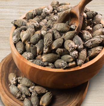 Dried Betel Nut - PT Artha Rizki Ageng - Indonesia