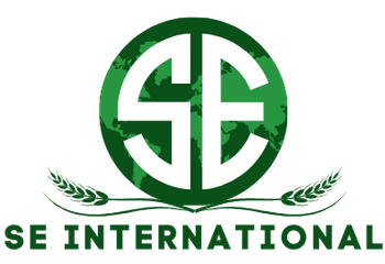 S E INTERNATIONAL