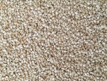 Sesame – product photo, Refined Sesame Seed Oil products found from trusted suppliers, wholesalers, manufacturers & exporters Listing