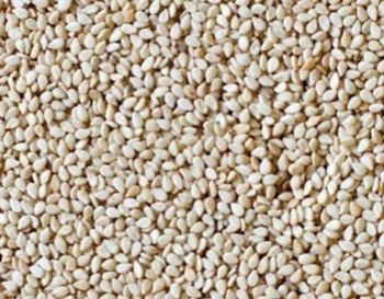 Sesame seeds from Favdip Global Resources Ltd Sesame seeds - Favdip Global Resources Ltd - Nigeria