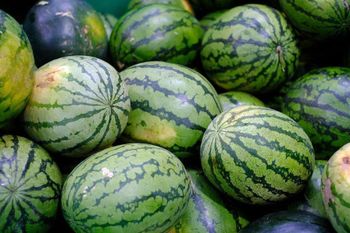 Watermelon Price Per Kilogram 1.8 Usd Packaging Careful Packaging Delivery Assurance On-time Delivery Freshness Level Fresh, High-quality - Vije's - Sri Lanka
