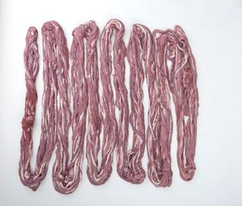 Frozen Pig Small Intestines, Frozen Pork Small Intestines - S Foods - United States