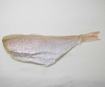 Sea bream fillet - DA NANG COMPANY LIMITED - Global