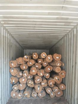 Teak wood logs Grade ABC Place of Origin Brazil Feature Dia: 20-25cm, - QHD International Trading - Vietnam