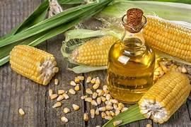 Corn oil  - TRADING OSS B.V. - Netherlands