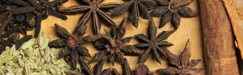Indian Spices - ATIRAH EXPORTS - India