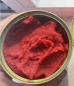 tomato paste from GLOBAL B2B IMPORT AND EXPORT TRADE (PTY) LTD tomato paste – product photo, Tin Tomato Paste products found from trusted suppliers, wholesalers, manufacturers & exporters Listing