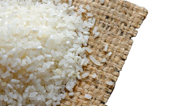 Best Seller! Jasmine Rice/Delicious Broken Rice Made In Vietnam 5%,15%,25%,100% High Quality Broken White Rice Vietnam Wholesale – product photo, Parboiled Broken Rice products found from trusted suppliers, wholesalers, manufacturers & exporters Listing