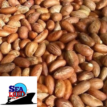 Bitter kola -Garcinia kola  Grade Grade A Packaging 5 kg Bag Place of Origin - Sealord Energy Services Ltd  - Nigeria