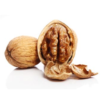 Refined Walnut Oil  / negotiable price walnut oil / buy walnut oil online / where can i buy walnut oil cheap / for sale in bulk walnut oil  - Klapec sp. z o.o. - Poland