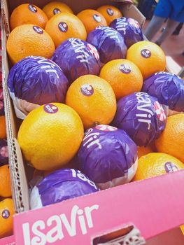 oranges valencia banane pastèques melon vert / jaune melon charentais disponible actuellement pour toute information supplémentaire veuillez contacter - WOT  - Tunisia