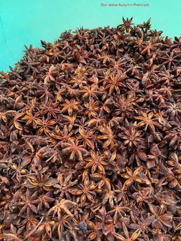 Star Anise Autumn Type Flower Origin Vietnam Crop Year 2025 Admixture 1% Max Color Natural Color Packaging 10kg/carton Broken Pieces 10% Max - Tuan Minh Trading and Production Co., Ltd - Vietnam