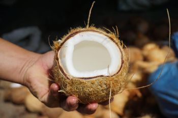 Coconuts Packaging - Packaging Details - PT.CAHAYA ABADI EKSPOR - Indonesia