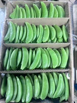 SUGAR SNAPS,RRENCH BEANS Packaging PUNNET Weight (kg) 8*250G Place of Origin - pure exotics fresh ltd - Kenya