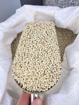 White Pepper 500GL MC Shelf Life 2 years Max. Moisture (%) 13,5% Packaging In PP/Kraft bags or buyer's - VietGlobal Export - Vietnam