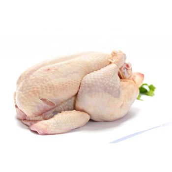 Frozen Whole Chicken from BOLIDO NETHERLANDS B.V. Frozen Whole Chicken - BOLIDO NETHERLANDS B.V. - Netherlands