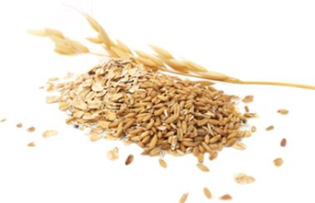 Oat Type all type Quality all type Packaging 50 kg - 25 kg - 5 kg - 1 kg or - TM Terra Trade - Turkey