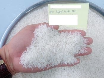 VIETNAM LONG GRAIN JASMINE FRAGRANT WHITE RICE, 5% BROKEN from CTCP HOÀNG MINH NHẬT VIETNAM LONG GRAIN JASMINE FRAGRANT WHITE RICE, 5% BROKEN - CTCP HOÀNG MINH NHẬT - Vietnam