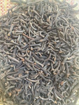 Cinnamon stem (leaf stalk) - GOODS GLOBAL COMPANY LIMITED
 - Vietnam
