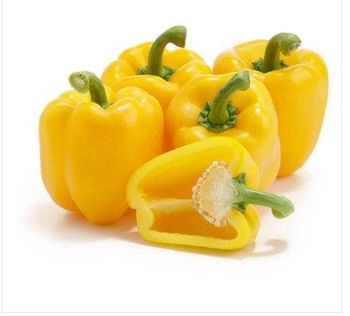 DA LAT YELLOW CHILLI (300G) from Vietfood DA LAT YELLOW CHILLI (300G) – product photo, Chilli products found from trusted suppliers, wholesalers, manufacturers & exporters Listing
