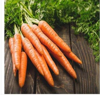 VIETGAP SAFE CARROTS (500G) Medicinal Form Fresh Form, Fresh Juice, Liquid Seed Uses Treating Roundworms, Pinworms, Tapeworms, Colic, And Diarrhea In - Vietfood - Vietnam