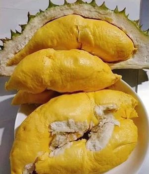 Durian – product photo, Durian products found from trusted suppliers, wholesalers, manufacturers & exporters Listing