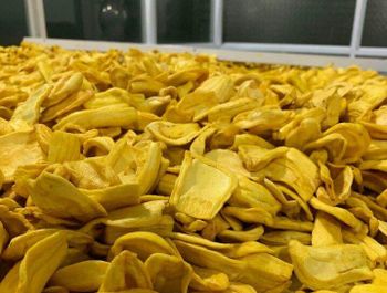 JACKFRUIT SNACKS from Công Ty CỔ PHẦN TM-DV HAVILA JACKFRUIT SNACKS – product photo, Jackfruit products found from trusted suppliers, wholesalers, manufacturers & exporters Listing