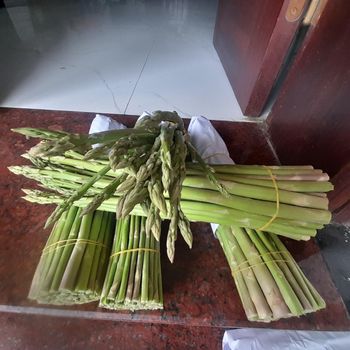 Hợp tác xã nông sản hữu cơ Bách Việt - Vietnam Fresh Asparagus - HTX NÔNG SẢN hữu cơ Bách  Việt - Vietnam