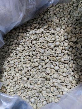 Ready to ship Specialty Arabica Vietnam hand picking coffee beans - THE FOREST BEANS JOINT STOCK COMPANY - Vietnam