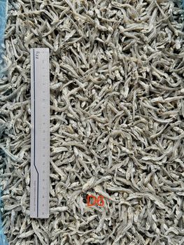 Dried White Anchovy whole round Max. Moisture (%) 28 Packaging 10kg/carton Place of Origin Vietnam Size 2-3cm, 3-5cm, - Atlantic Trading and Logistic Co., Ltd - Vietnam