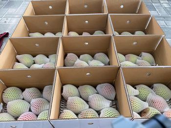 Frozen Mango – product photo, Frozen Mango Chunks products found from trusted suppliers, wholesalers, manufacturers & exporters Listing