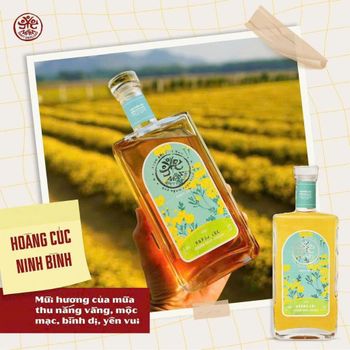 Pure Vietnamese fruit wine Type wine Material fruit Place of Origin - NBA - Vietnam