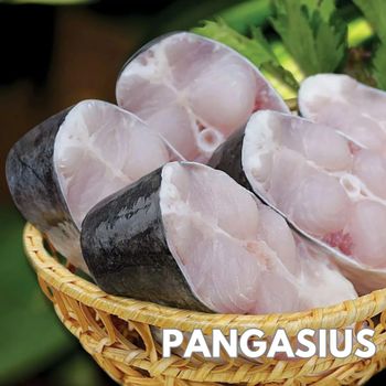 Best selling pangasius/ basa fish WR - STEAK - FILLET high- quality from TPPFOOD - VietNam Best selling pangasius/ basa fish WR - STEAK - FILLET high- quality - TPPFOOD - VietNam - Vietnam