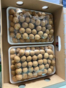 Premium Fresh Longan - High-Quality Selection Origin Vietnam Texture Translucent Flesh Weight Approx. 1kg Per Tray Flavor Honey-like - TTB IMPORT EXPORT CO.,LTD - Vietnam