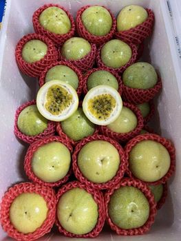 Premium Passion Fruit - Fresh & Juicy – product photo, Passion Fruit Drink products found from trusted suppliers, wholesalers, manufacturers & exporters Listing