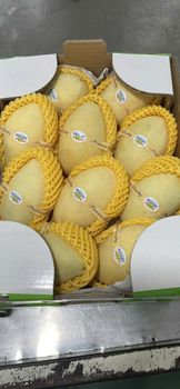 Premium Mango - Exquisite Sweetness from Vietnam – product photo, Premium Fresh Mango products found from trusted suppliers, wholesalers, manufacturers & exporters Listing